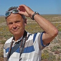 Otto Wildi