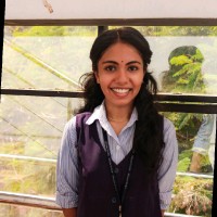Alina T Anil