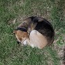 林承億