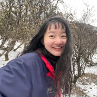 Qingxin Yang