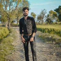 Rohan Napa