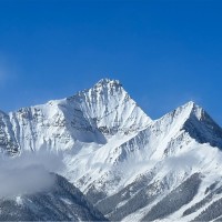 RJ Johnson