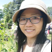 Jingji Chevaux Yang