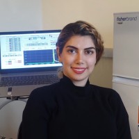 Laya Sadeghi