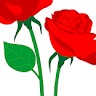 Arash Gh