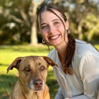 Isabelle Ball