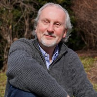 David Lesiuk