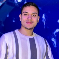 Salim Ayache