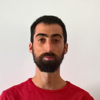 Paolo Milanesi