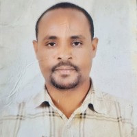 Sultan Ahmed
