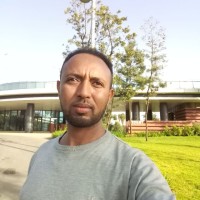 Yimam Ahmed