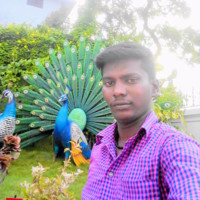 Sathyam Vignesh