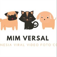 mim versal