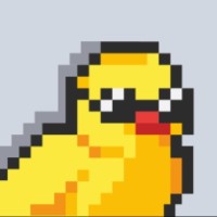 Mr. Pixel Duck