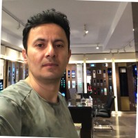Ali Tayebi