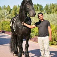 Mohammed Hussain