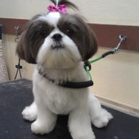 Jennifer Robinson -ketterer