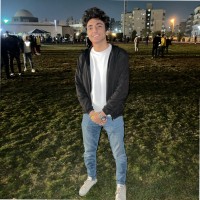 Mostafa Hamid