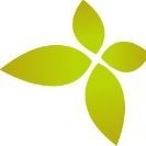 Travel Servis Fuar Departmanı