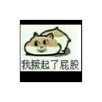 丁伟康