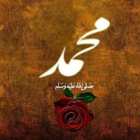 Areeba Noor