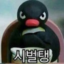 김일개