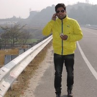 Rajeshwar Singh chauhan