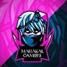 DG GAMING
