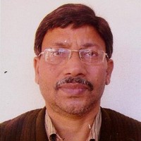 Debangshu N. Das