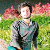 Amir Gujjar