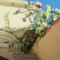 Ibtisam Briek SENUSSI