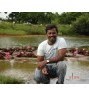 Balamurugan N