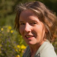 Tilleke Kiewied