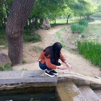 Alin Wu