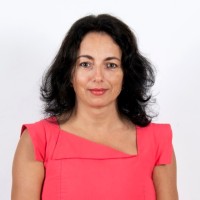 Anca Priscu, MSc (MECH.ENG.), Pr Eng, Senior Executive