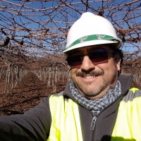 Walter Parada Borquez