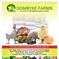 Dombyke Farms