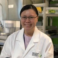 Irene H. H. Ho