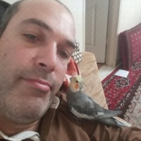 Reza Alizadeh