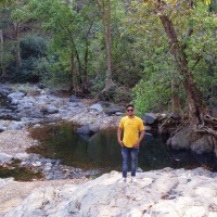 Bhupendra Parihar
