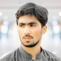 Ali Majid