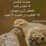 منصور حريصي