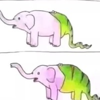黄晨凯