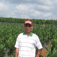 Jan Pin Lim