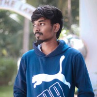 Raja P