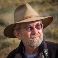 David Parsons