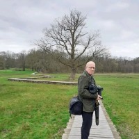 Ton Heiwegen