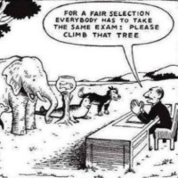 Restorative Tutoring