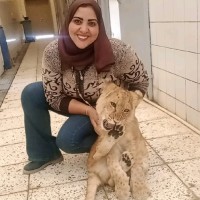 Dalia Abdallah