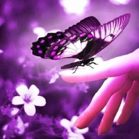 Jisna Joy